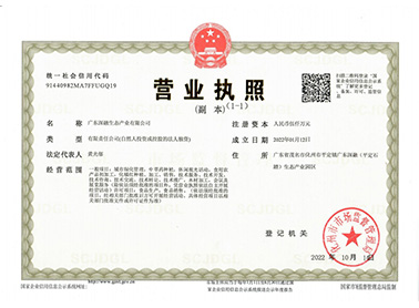 廣東深融營(yíng)業(yè)執(zhí)照