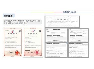 專利成果
