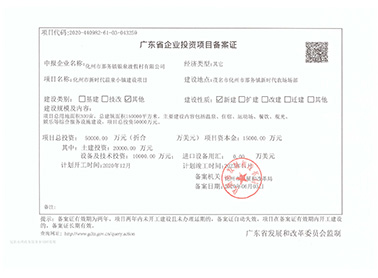 溫泉小鎮(zhèn)立項(xiàng)備案證